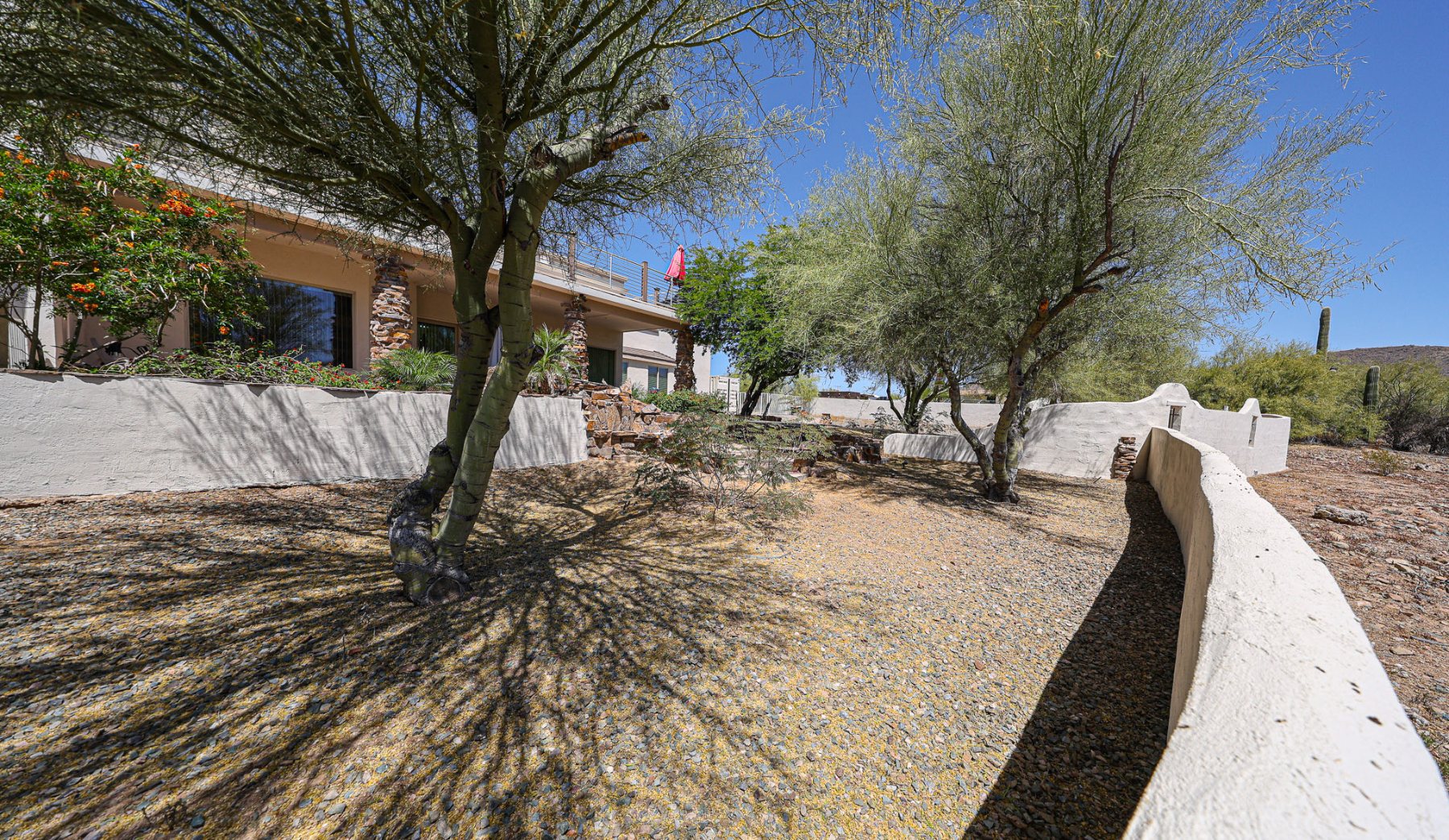 Shaded desert yard with palo verde trees inside a curved stucco wall